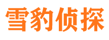 西和市侦探公司